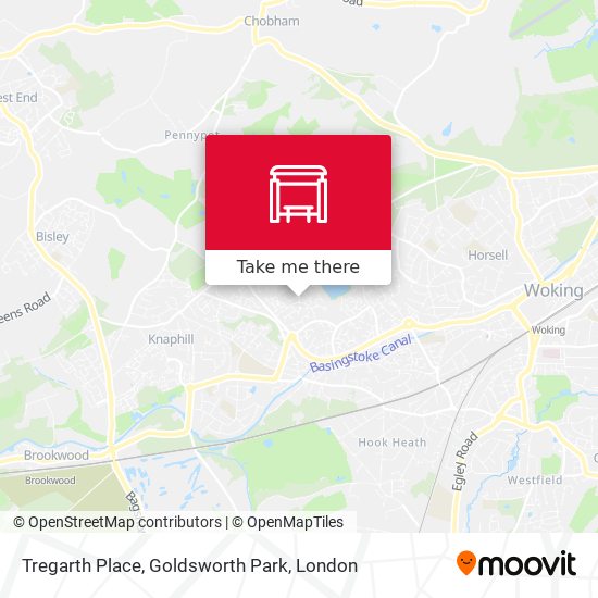 Tregarth Place, Goldsworth Park map