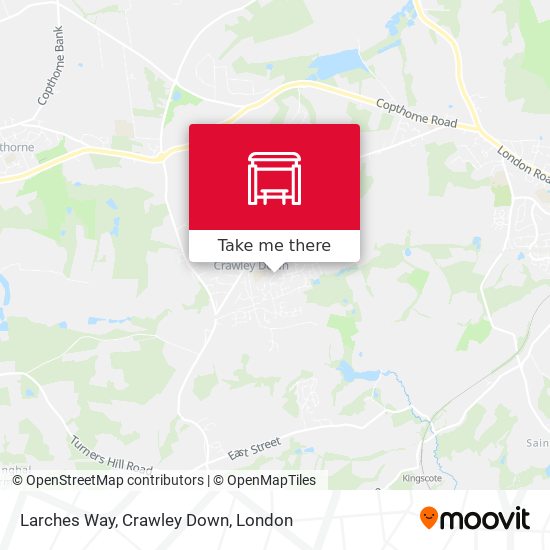 Larches Way, Crawley Down map