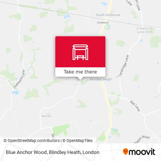 Blue Anchor Wood, Blindley Heath map