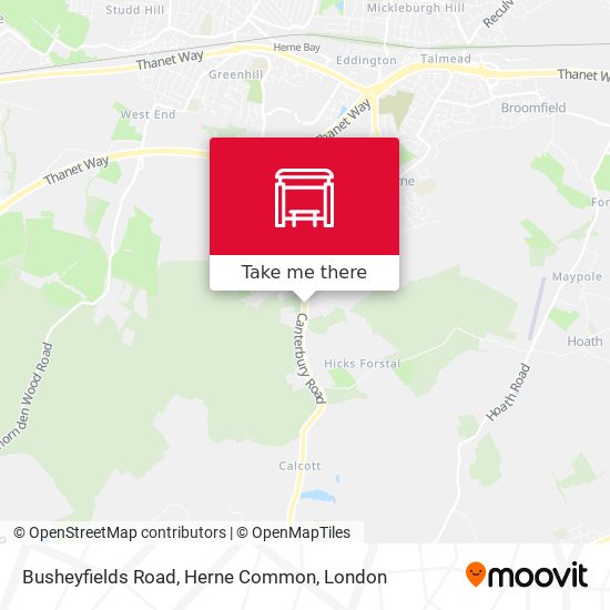 Busheyfields Road, Herne Common map