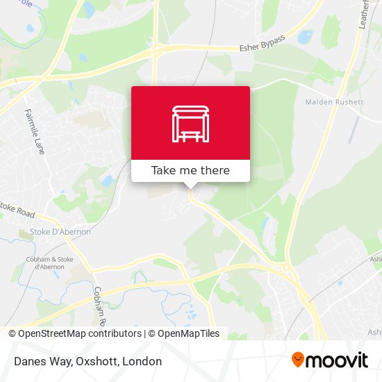 Danes Way, Oxshott map