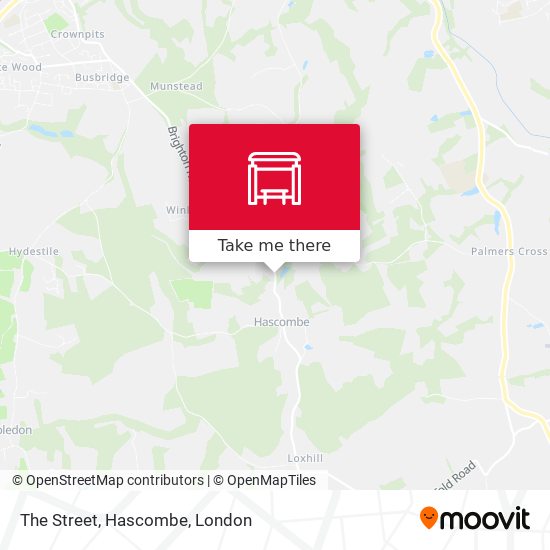 The Street, Hascombe map