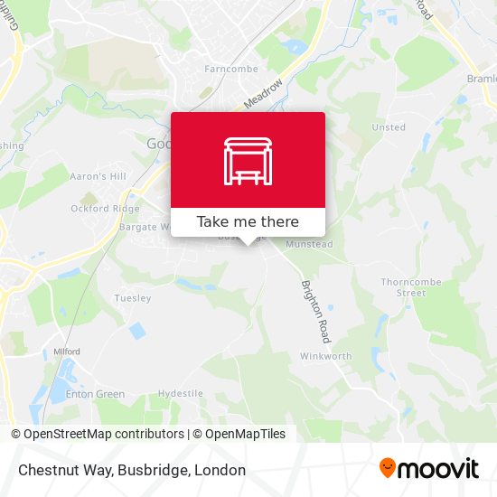 Chestnut Way, Busbridge map