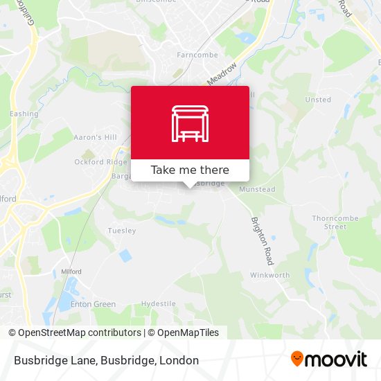 Busbridge Lane, Busbridge map