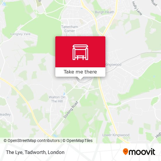 The Lye, Tadworth map
