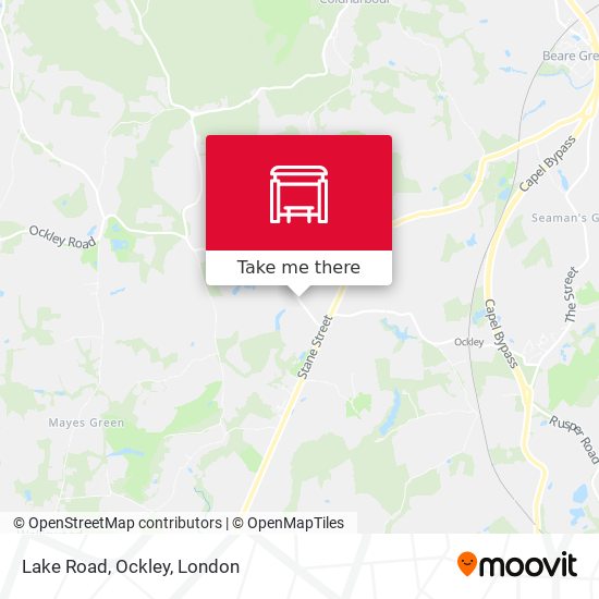 Lake Road, Ockley map