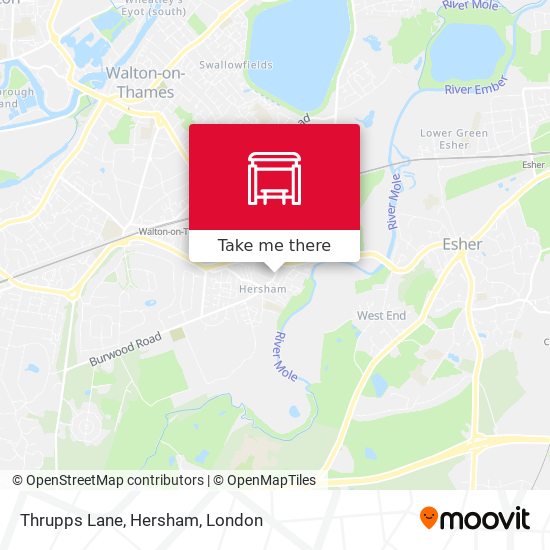 Thrupps Lane, Hersham map