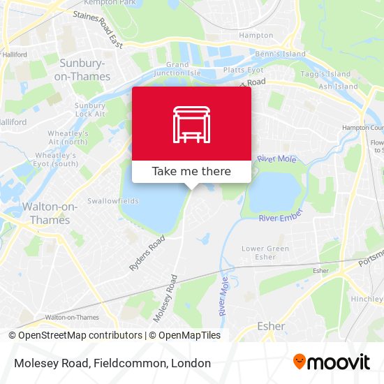 Molesey Road, Fieldcommon map