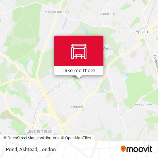 Pond, Ashtead map