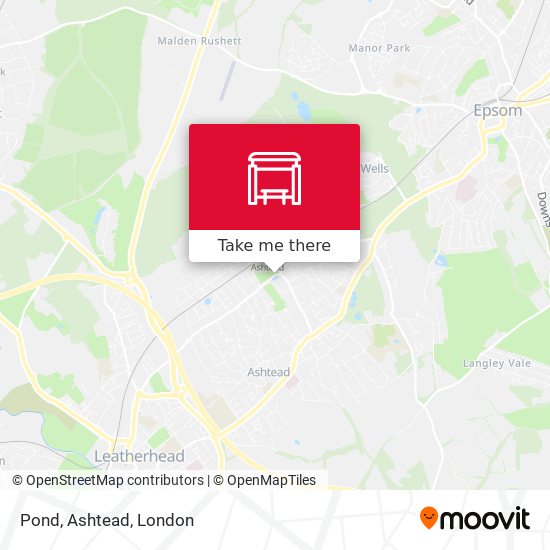 Pond, Ashtead map