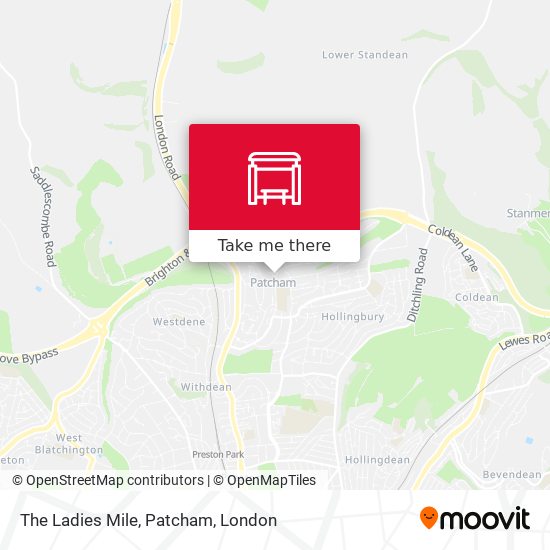 The Ladies Mile, Patcham map