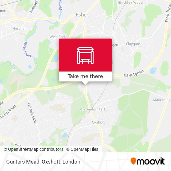 Gunters Mead, Oxshott map
