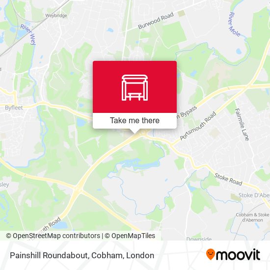 Painshill Roundabout, Cobham map