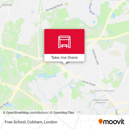 Free School, Cobham map