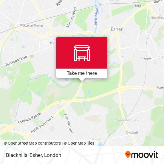 Blackhills, Esher map
