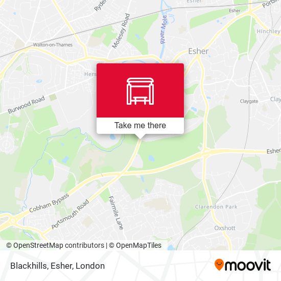 Blackhills, Esher map