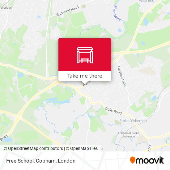 Free School, Cobham map