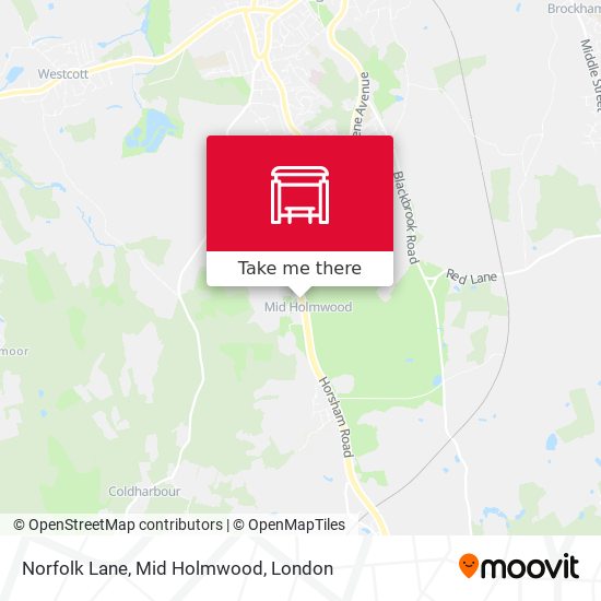 Norfolk Lane, Mid Holmwood map