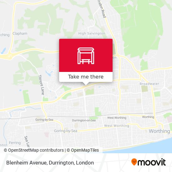 Blenheim Avenue, Durrington map