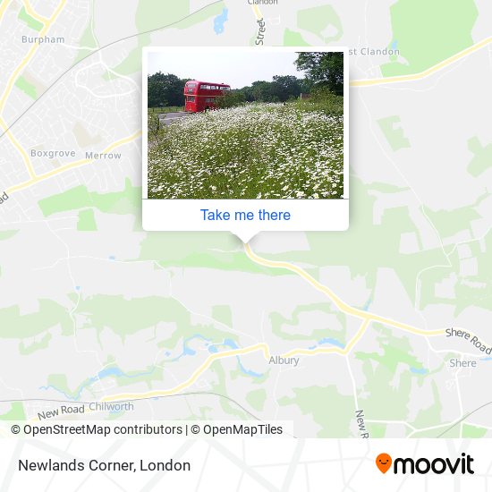Newlands Corner map