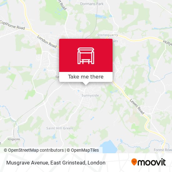 Musgrave Avenue, East Grinstead map