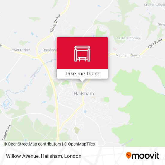 Willow Avenue, Hailsham map