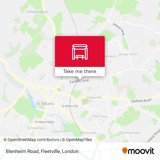 Blenheim Road, Fleetville map