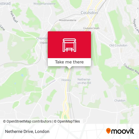 Netherne Drive map