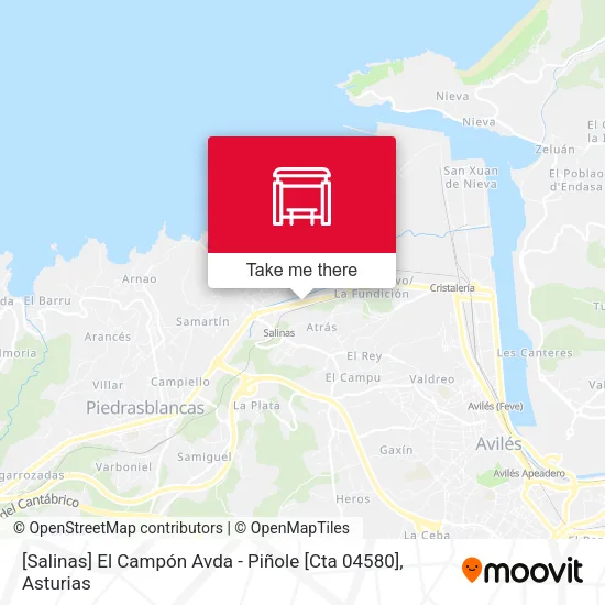 [Salinas]  El Campón Avda - Piñole [Cta 04580] map