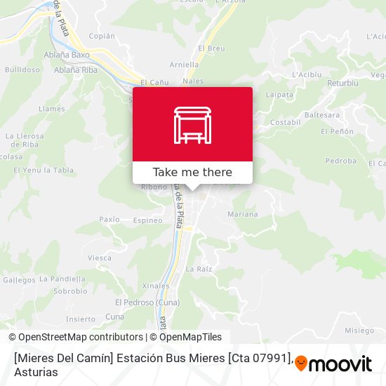 [Mieres Del Camín]  Estación Bus Mieres [Cta 07991] map