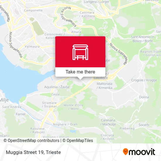 Muggia Street 19 map