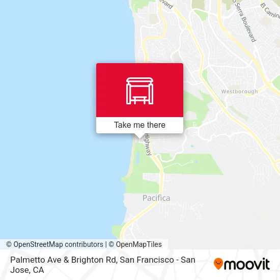 Palmetto Ave & Brighton Rd map