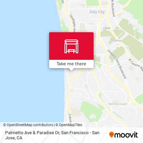 Palmetto Ave & Paradise Dr map