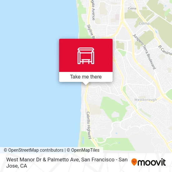 West Manor Dr & Palmetto Ave map