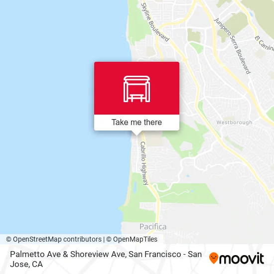 Palmetto Ave & Shoreview Ave map