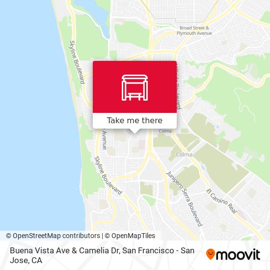 Buena Vista Ave & Camelia Dr map