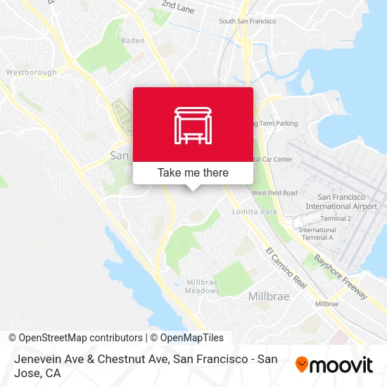 Jenevein Ave & Chestnut Ave map