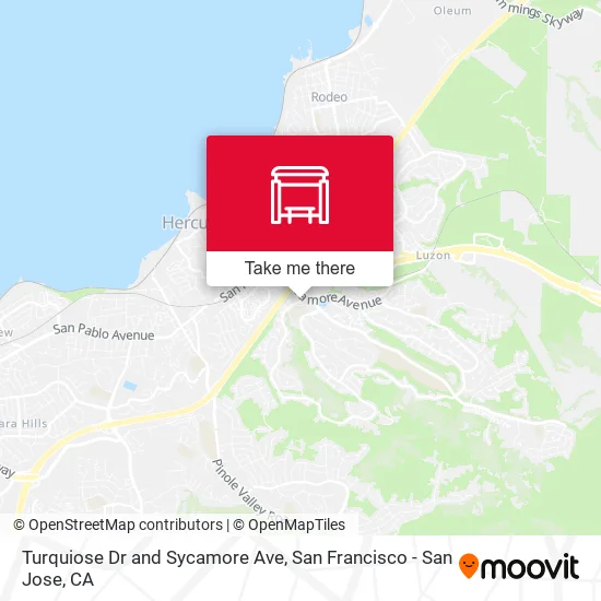 Turquiose Dr and Sycamore Ave map