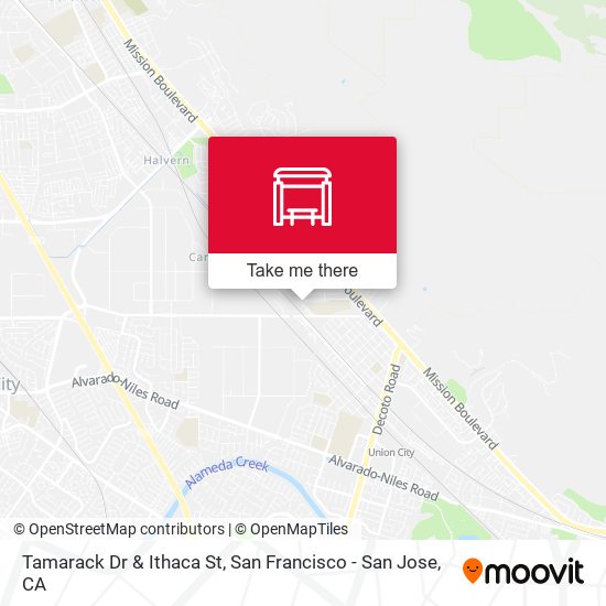 Tamarack Dr & Ithaca St map