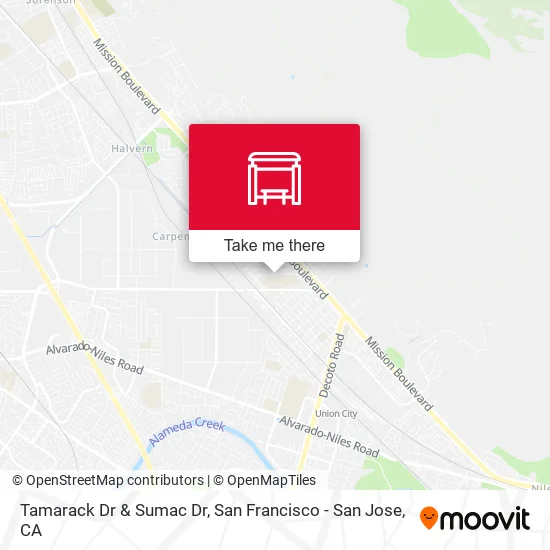 Tamarack Dr & Sumac Dr map
