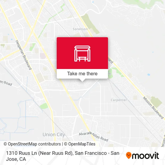 1310 Ruus Ln (Near Ruus Rd) map