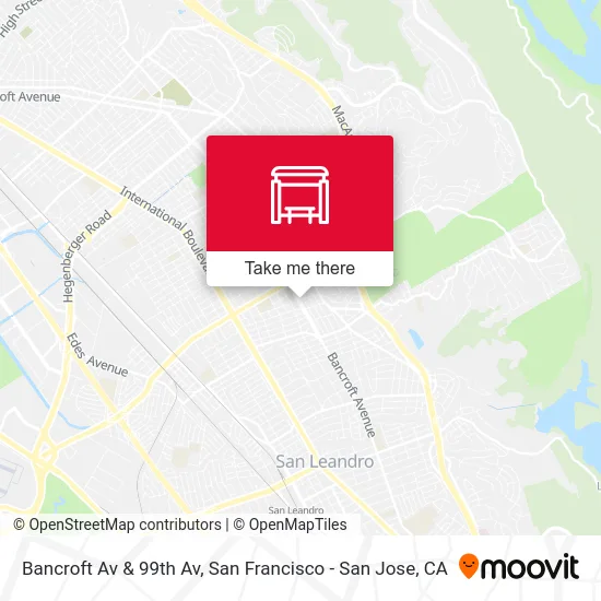 Bancroft Av & 99th Av map