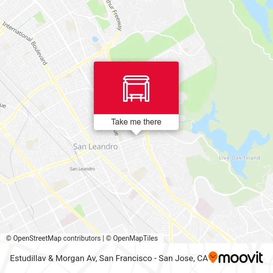 Estudillav & Morgan Av map