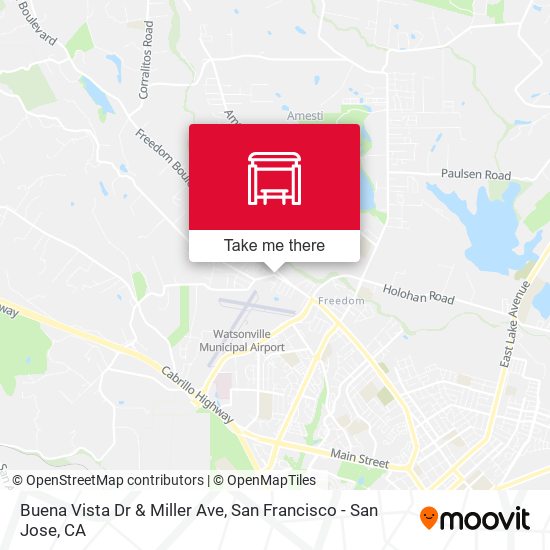 Buena Vista Dr & Miller Ave map