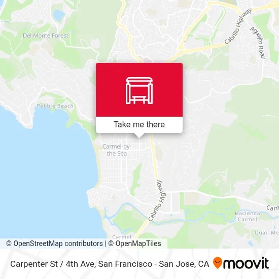 Carpenter St / 4th Ave map
