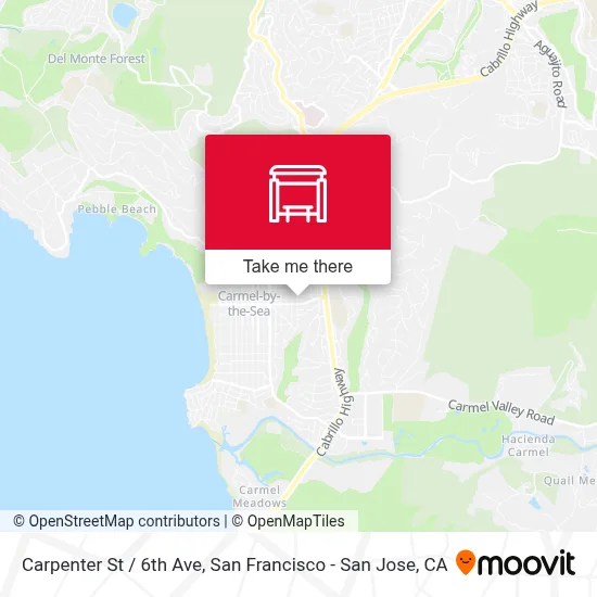 Carpenter St / 6th Ave map