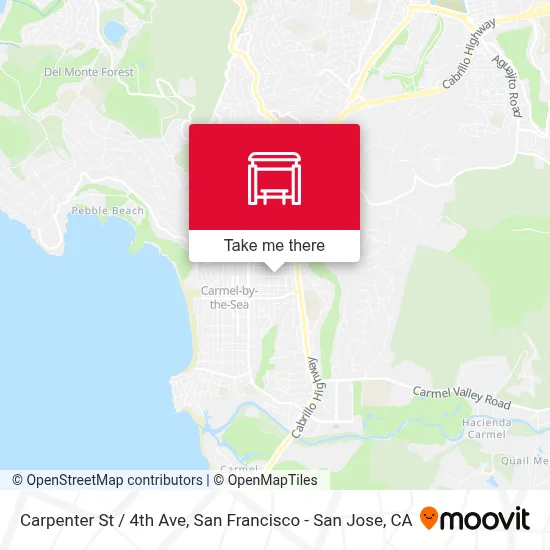 Carpenter St / 4th Ave map