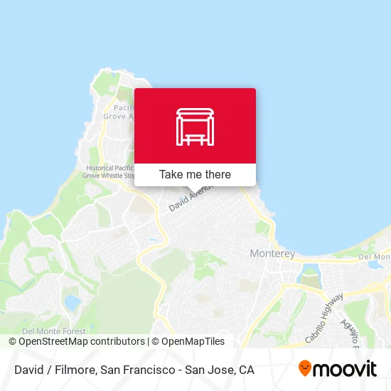 David /  Filmore map