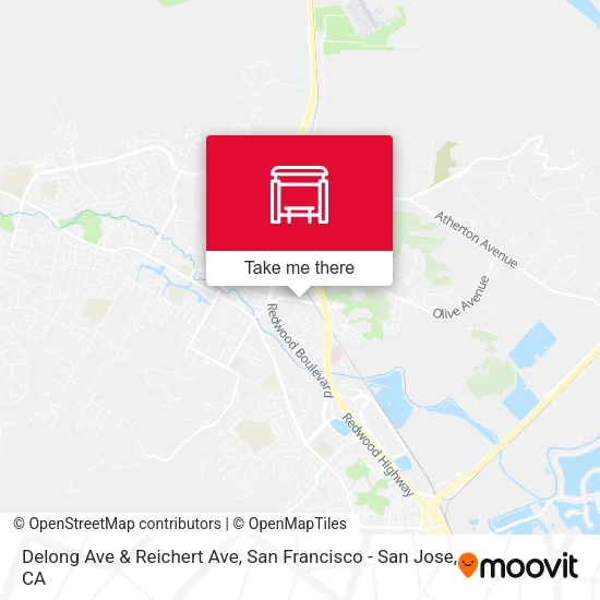 Delong Ave & Reichert Ave map
