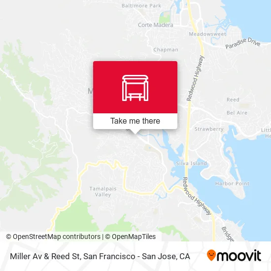 Miller Av & Reed St map
